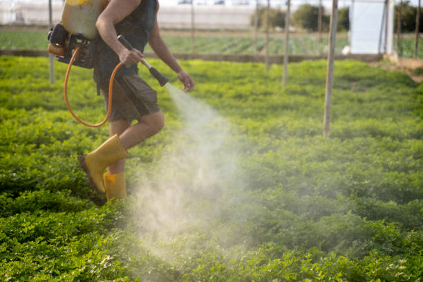 Trusted Ennis, TX Pest Control Experts