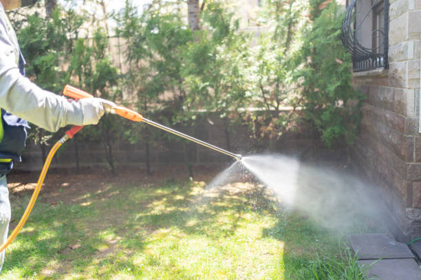 Flea Control Services in Ennis, TX