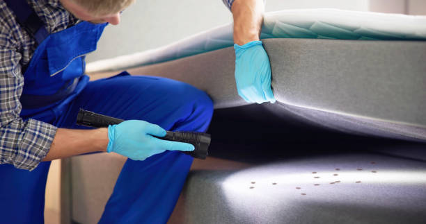 Best Pest Control for Homes  in Ennis, TX