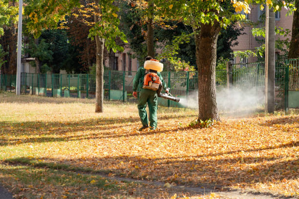 Best Pest Inspection Near Me  in Ennis, TX