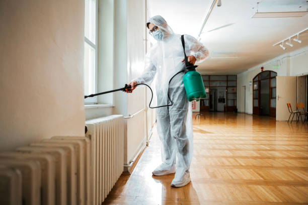 Best Flea Control Services  in Ennis, TX